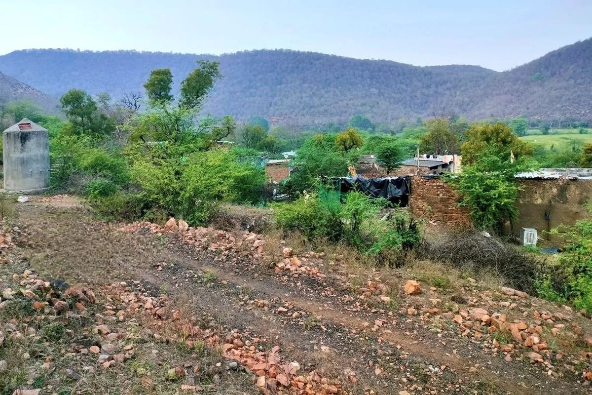 Bundi : रामगढ़ विषधारी टाइगर रिजर्व क्षेत्र से भैरूपुरा गांव को करेंगे विस्थापित, तैयारी पूरी