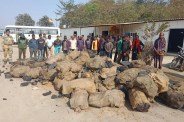 Coal smuggling
