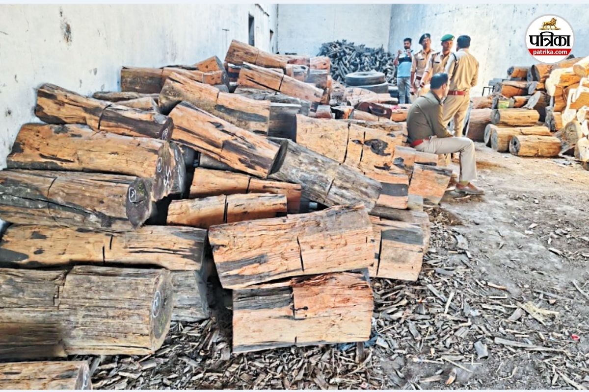 ‘पुष्पा-2’ स्टाइल लकड़ी तस्करी का खुलासा… 50 लाख की खैर-तेंदू जब्त, गोदाम में छिपा रखा था ‘लाल सोना’