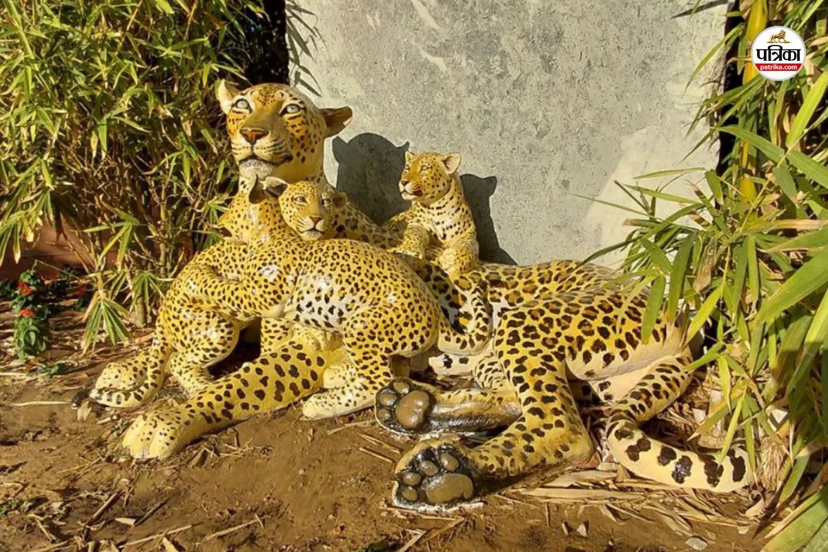 लेपर्ड रिजर्व में बन रहा देश का पहला इंटरप्रिटेशन सेंटर, पत्रिका फोटो