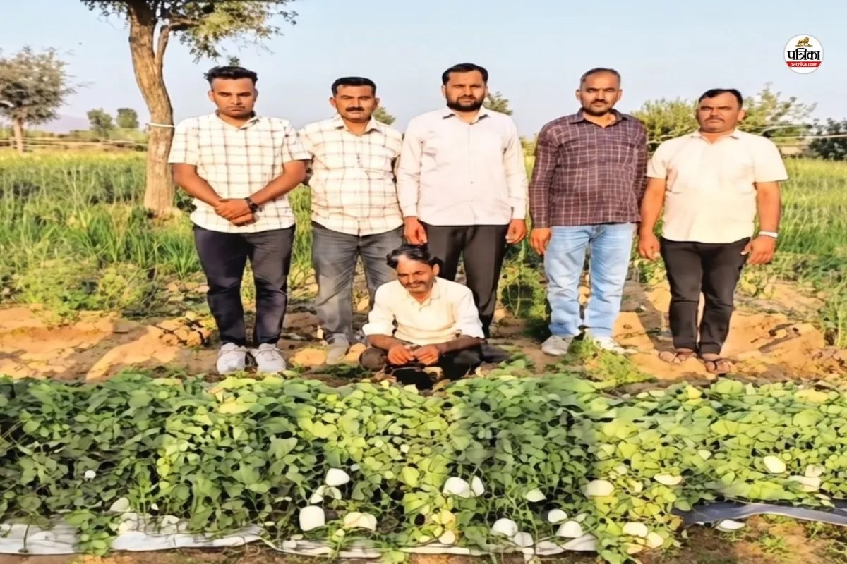 पुलिस हिरासत में आरोपी और बरामद अफीम के पौधे, पत्रिका फोटो