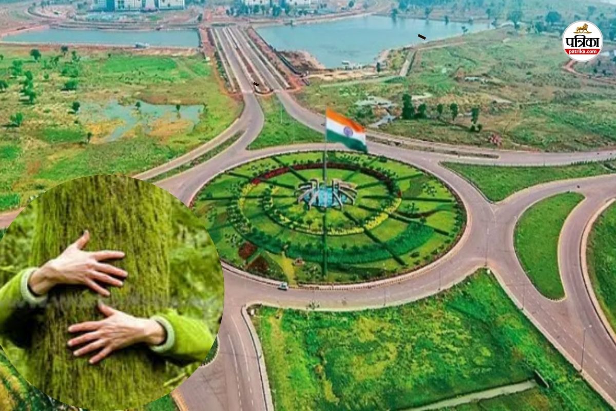 Raipur News: नवा रायपुर को तहसील बनाने की अधिसूचना जारी, जमीन और राजस्व संबंधित काम में होगी आसानी