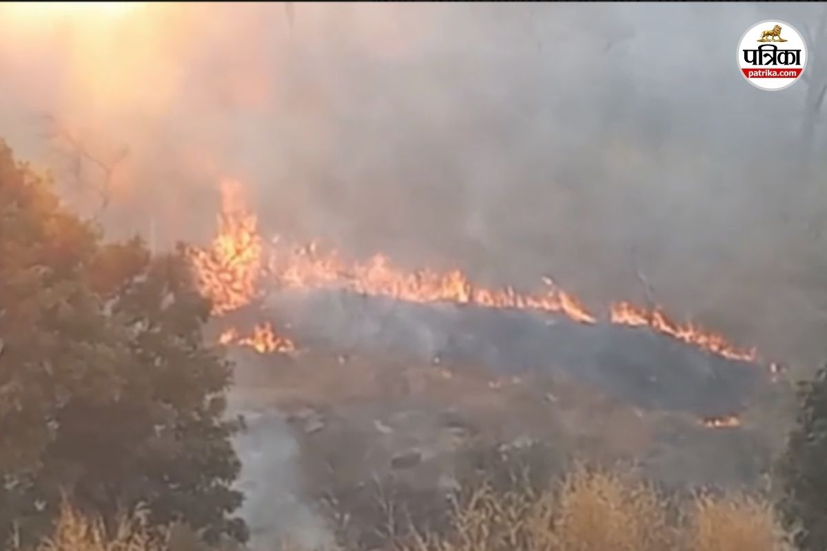 सिहावा के अंगिरा ऋषि पहाड़ी के जंगल में लगी आग (फोटो सोर्स- पत्रिका)