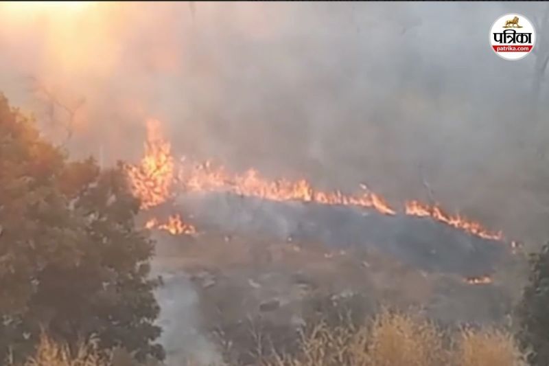 सिहावा के अंगिरा ऋषि पहाड़ी के जंगल में लगी आग (फोटो सोर्स- पत्रिका)