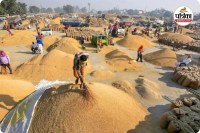 CG Dhan Kharidi: धान खरीदी के लिए दो दिन की मोहलत का असर, पहले दिन 40 हजार टन से अधिक की धान खरीदी