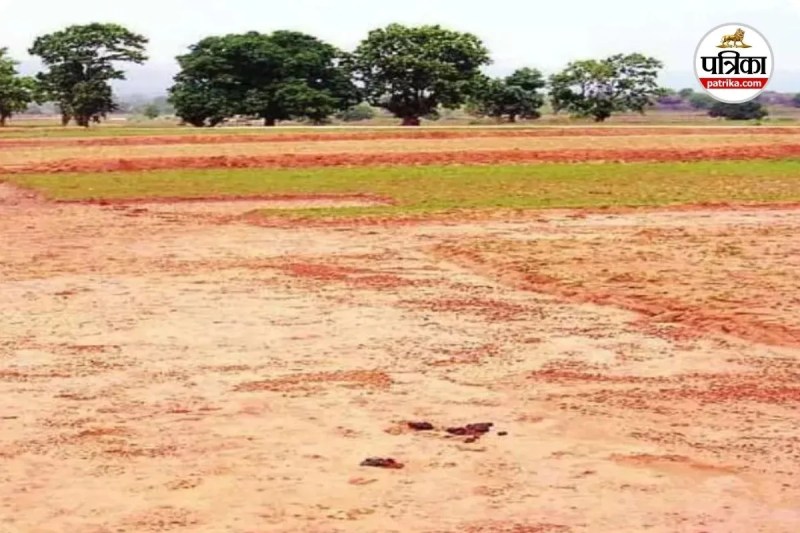 संशोधित गाइडलाइन दरें लागू (photo source- Patrika)