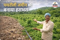 विकास की नई परिभाषा (photo source- Patrika)