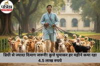 Dog Walking Job Income