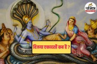 Vijaya ekadashi 2026 importance, ekadashi katha,ekadashi kab hai, vijaya ekadashi 2026,