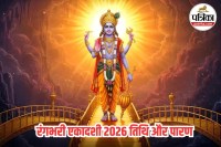 Vishnu puja vidhi Ekadashi, Hindu fasting days 2026,