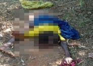 Elephant killed woman