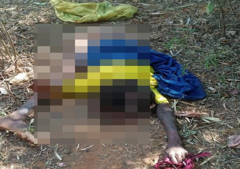 Elephant killed woman