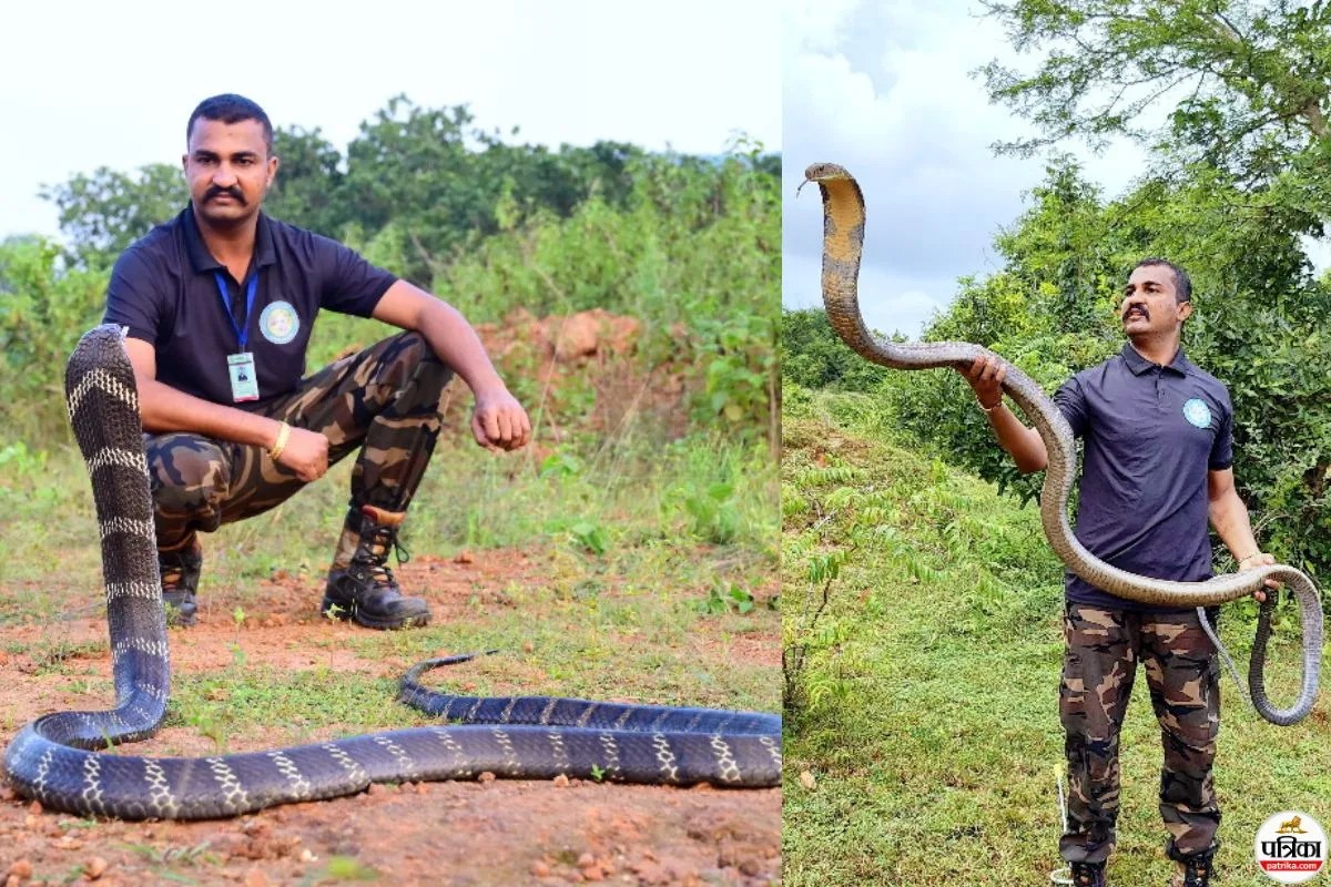 Snake Rescuer Akash Jadhav Arrest
