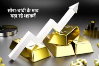Gold Silver Price rise