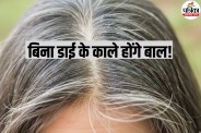 Hair Health
