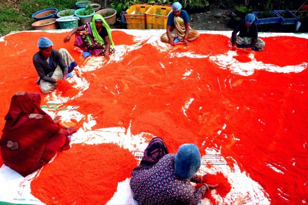 Holi Pre Celebration