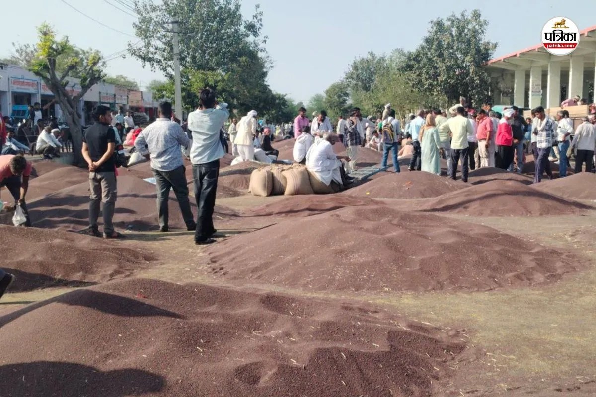 Kailash Nagar Agricultural Produce Market