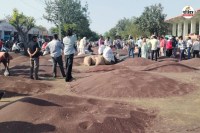 Kailash Nagar Agricultural Produce Market