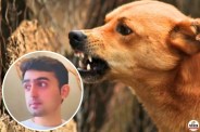 Kalyan Rabies Fear Ayas Amin Suicide