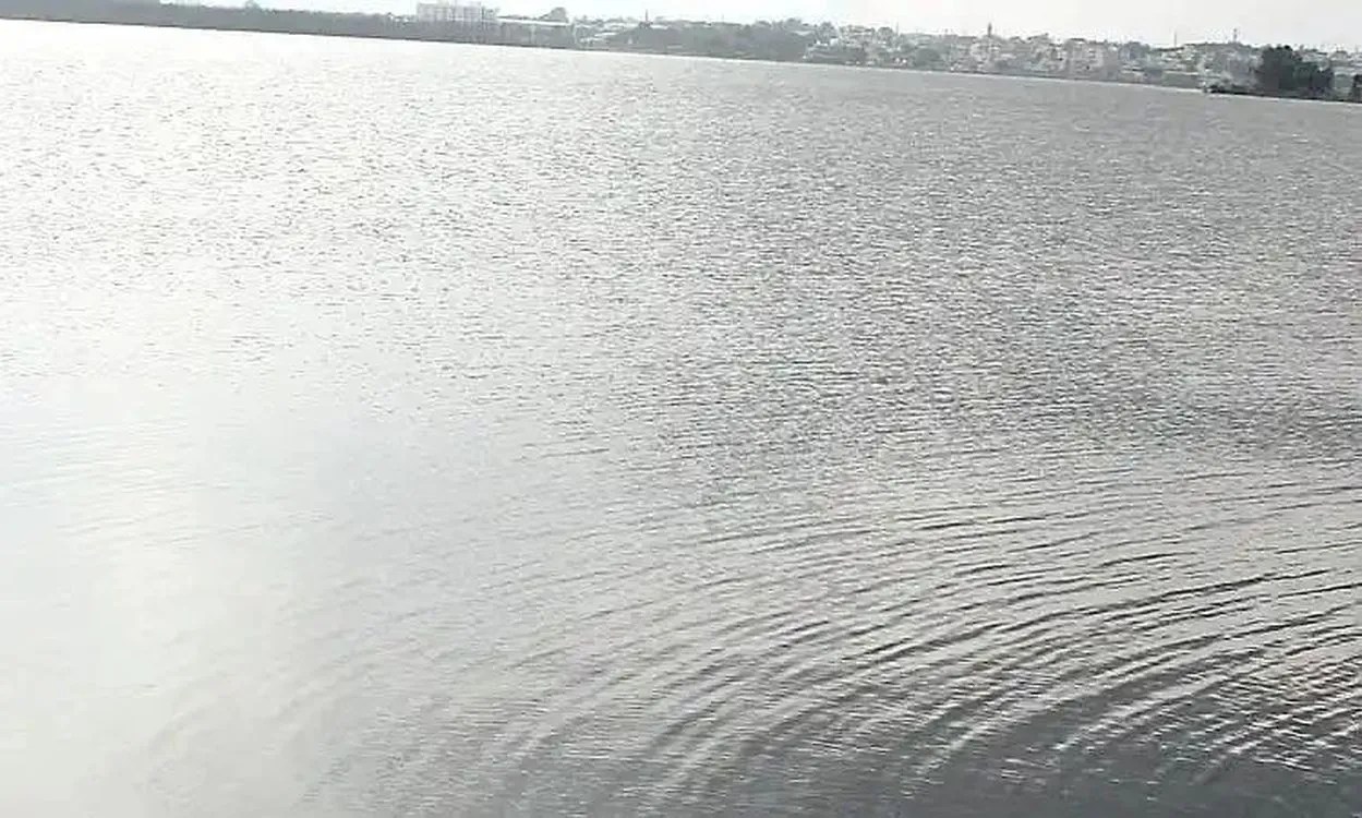 Karnataka's ponds are becoming toxic, endangering the homeland of biodiversity.