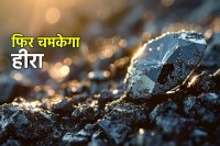 MP news panna diamond ready to shine auction soon