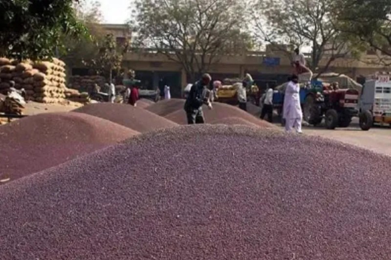 Jeera Mandi Bhav, Jeera Mandi, Jeera bhav, Jeera aaj ka bhav, jeera aaj ki kimat, Jeera mandi aaj ka bhav, जीरे की कीमत, जीरा भाव, जीरा मंडी भाव, जीरा मंडी आज का भाव, जीरा कीमत, rayda ka bhav, rayda aaj ka bhav, isabgol bhav, isabgol bhav today, jeera bhav today rajasthan, jeera bhav today merta mandi, jeera bhav today phalodi mandi, jeera bhav today unjha, jeera bhav today jaipur, jeera bhav today sanchore, kota mandi, kota mandi bhav, kota mandi bhav today, kota mandi bhav today, kota mandi gehu ka bhav, kota mandi sarso bhav, kota mandi sarso bhav today, कोटा मंडी, कोटा मंडी भाव, कोटा मंडी में आज के भाव, Kota mandi lahsun bhav, Kota mandi lahsun bhav today, kota mandi soyabean bhav, kota mandi soyabean bhav today, kota mandi gehu ka bhav, kota mandi mein gehun ka bhav aaj ka, kota mandi dhan ka bhav, kota mandi dhan ka bhav aaj ka, Kota mandi lahsun bhav today, kota mandi lahsun bhav aaj, कोटा मंडी गेहूं भाव, कोटा मंडी सोयाबीन भाव, कोटा मंडी चना भाव, कोटा मंडी सरसों भाव, कोटा मंडी लहसुन भाव, Jeera Mandi News, Jeera Mandi, jeera bhav, jeera aaj ka bhav, जीरा मंडी, जीरा आज का भाव, जीरा की कीमत