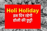 Holi holiday