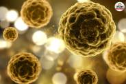 Cancer Treatment