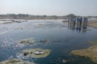 Luni River, Pollution in Luni River, Jodhpur Luni River, Luni River Latest News, Luni River Update News, Nighaban, Nighaban News, Sandeep Purohit, Sandeep Purohit Article, लूणी नदी, लूणी नदी में प्रदूषण, जोधपुर लूणी नदी, लूणी नदी लेटेस्ट न्यूज, लूणी नदी अपडेट न्यूज, निगहबान, निगहबान न्यूज, संदीप पुरोहित, संदीप पुरोहित आर्टिकल