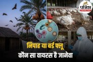 Nipah Virus vs Bird Flu