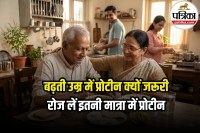 Protein Intake Per Day