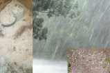 Rain And Hailstorm In Rajasthan
