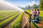 Irrigation