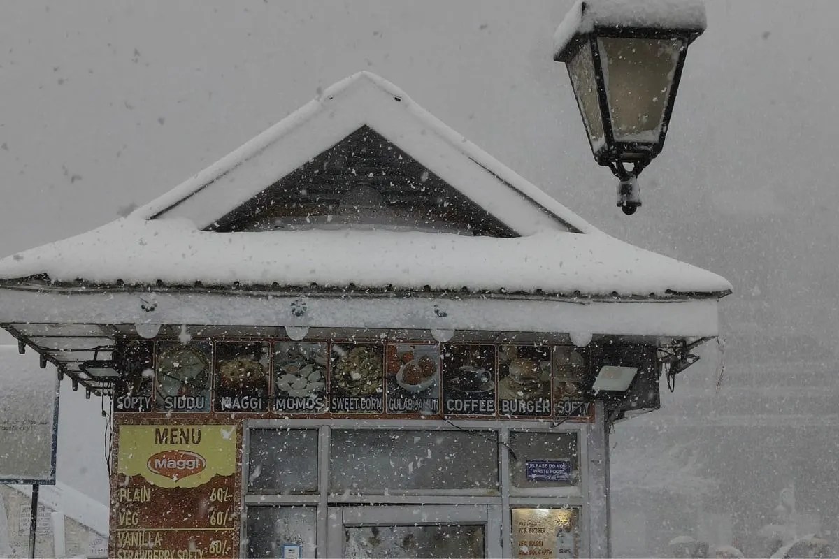 Rain and Snowfall Forecast