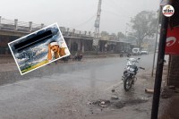 Rajasthan Weather Update weather changed again winter rains prospect Banswara region farmers anxious