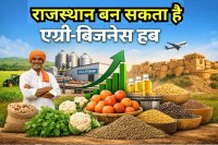 Rajasthan agri-business hub