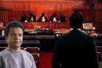 Rajpal Yadav Bail Plea Hearing Updates