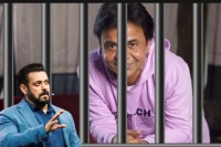 Rajpal Yadav Bail Hearing Updates