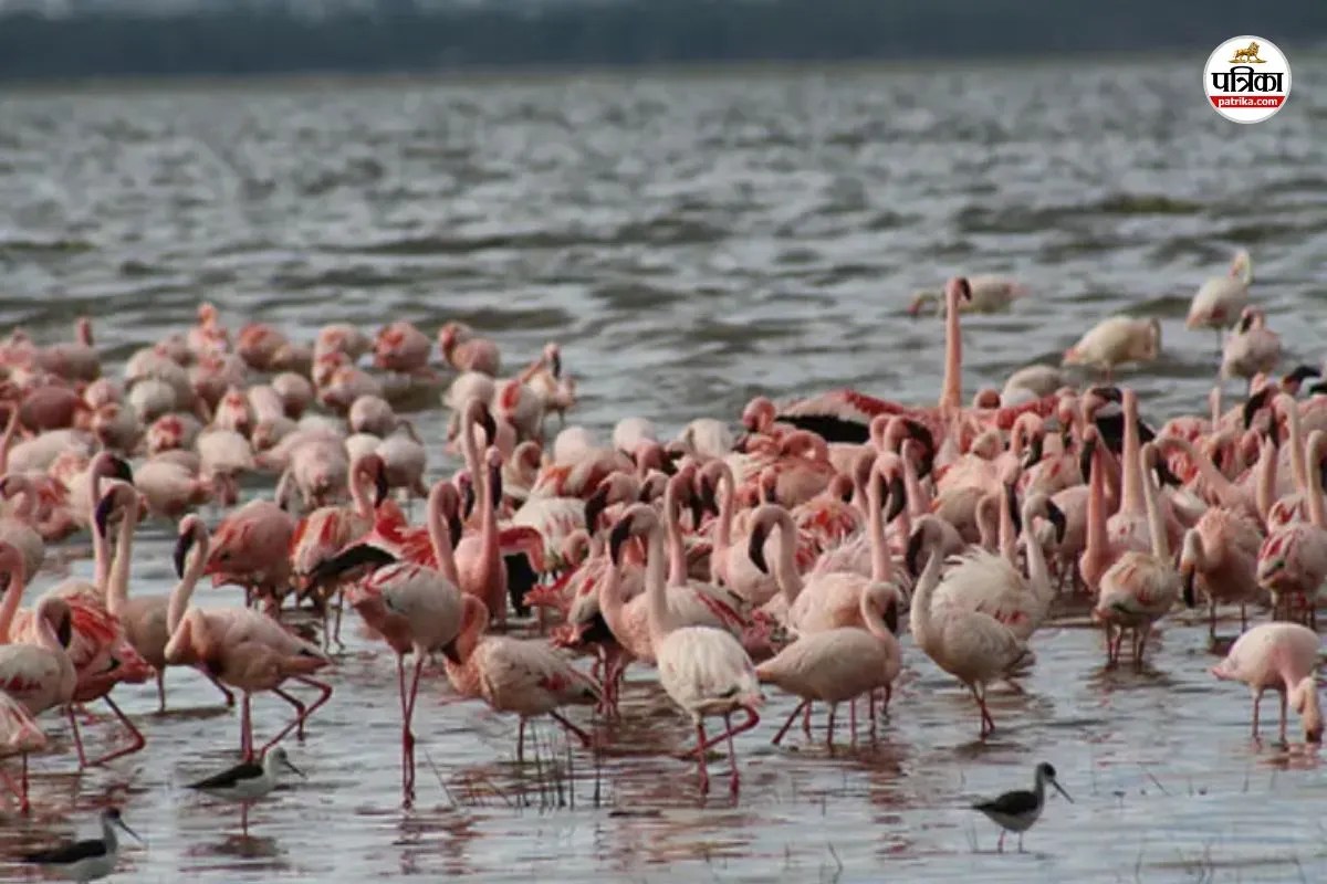 World Wetlands Day 2026