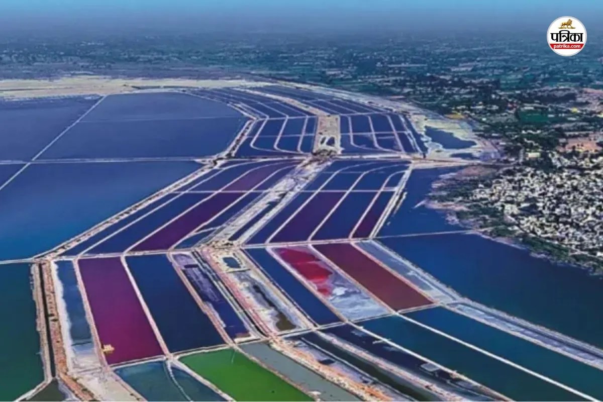 World Wetlands Day 2026