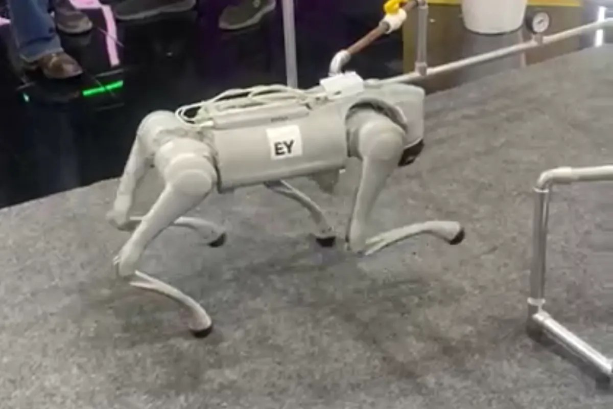 Robot in AI Impact Summit 2026