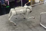 Robot in AI Impact Summit 2026
