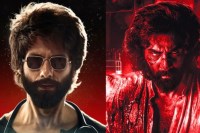 Shahid Kapoor in Ranbir Kapoor's Animal?