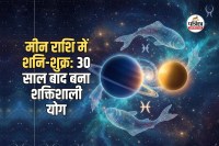 Shani-Shukra Yuti 2026