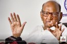 Sharad Pawar Maharashtra Politics