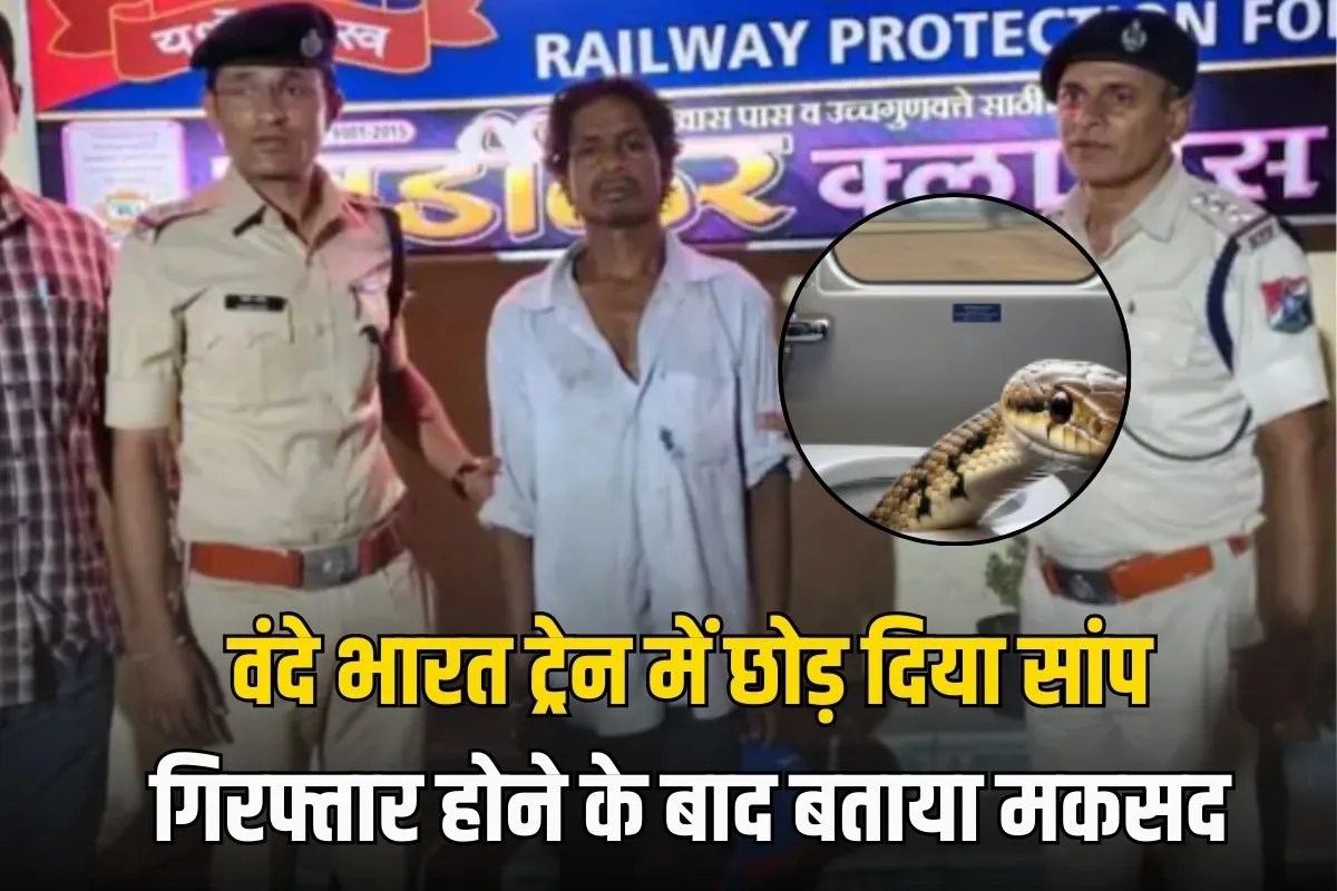 Snake in Vande Bharat Train accused arrested