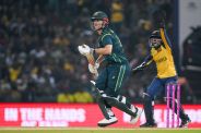 Mitchell marsh