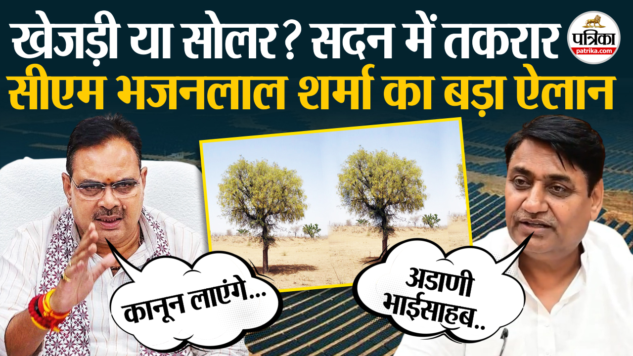 खेजड़ी बनाम सोलर तकरार: डोटासरा बोले—दोनों साथ नहीं चल सकते