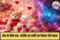 Zodiac sign favourite colour,Teddy Day gift ideas 2026, Astrology love tips,