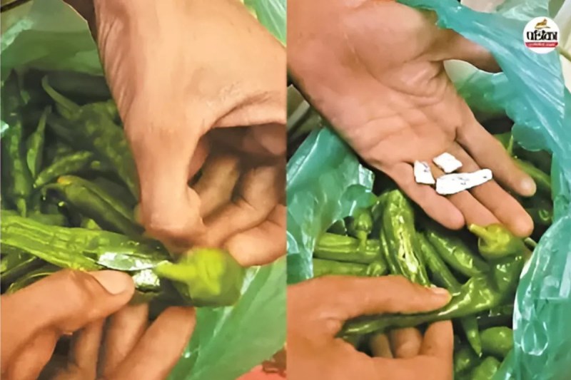 MD Drugs, Mathania Mirch, MD Drugs in Mathania Mirch, Jodhpur News, Nigahban, Sandeep Purohit, Sandeep Purohit Article, एमडी ड्रग्स, मथानिया मिर्च, मथानिया मिर्च में एमडी ड्रग्स, जोधपुर न्यूज, निगहबान, संदीप पुरोहित, संदीप पुरोहित आर्टिकल